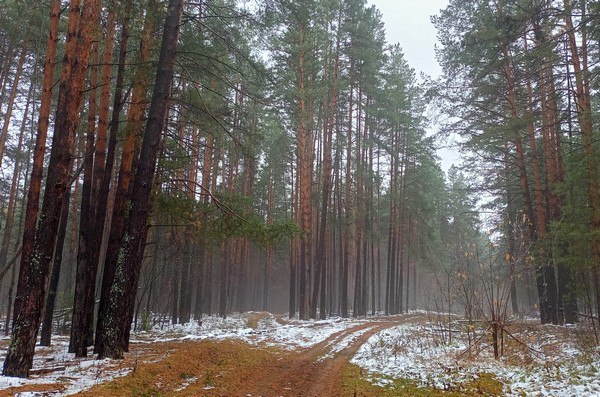 Берендеево царство: большой круг - фото 1